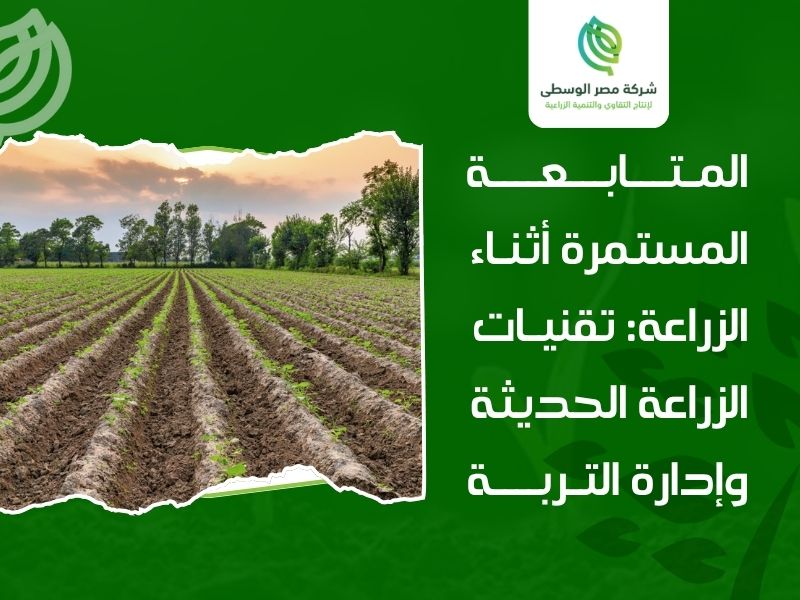 زيادة كفاءة الإنتاج الزراعي