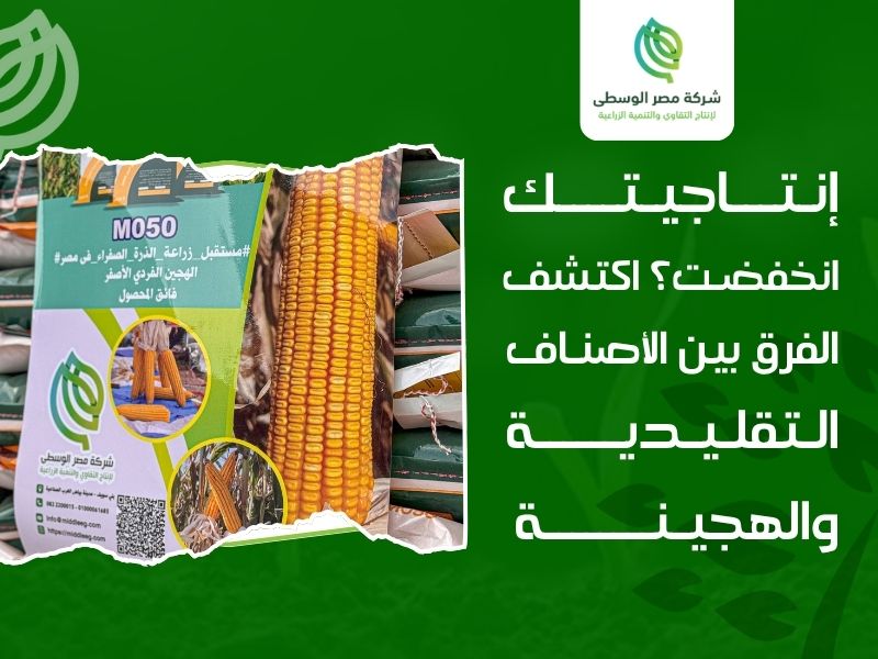 مشاكل الزراعة في مصر