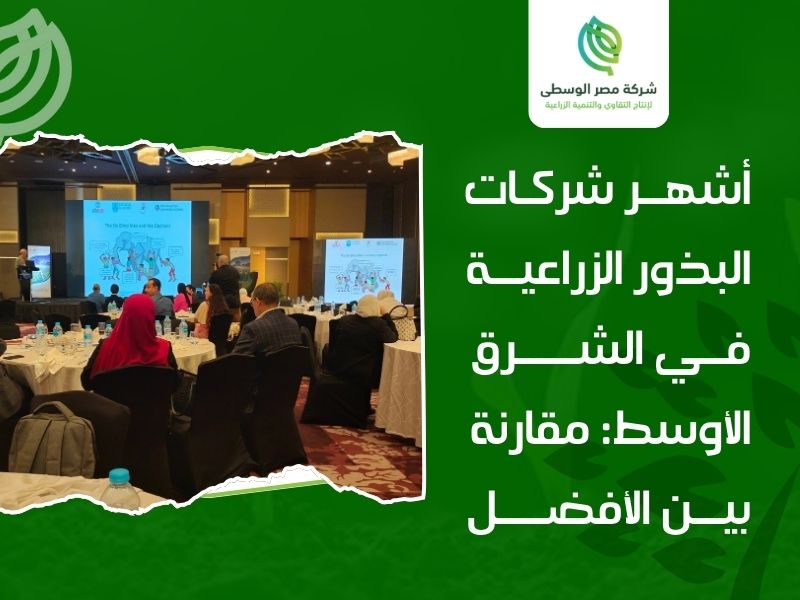 شركات بذور زراعية