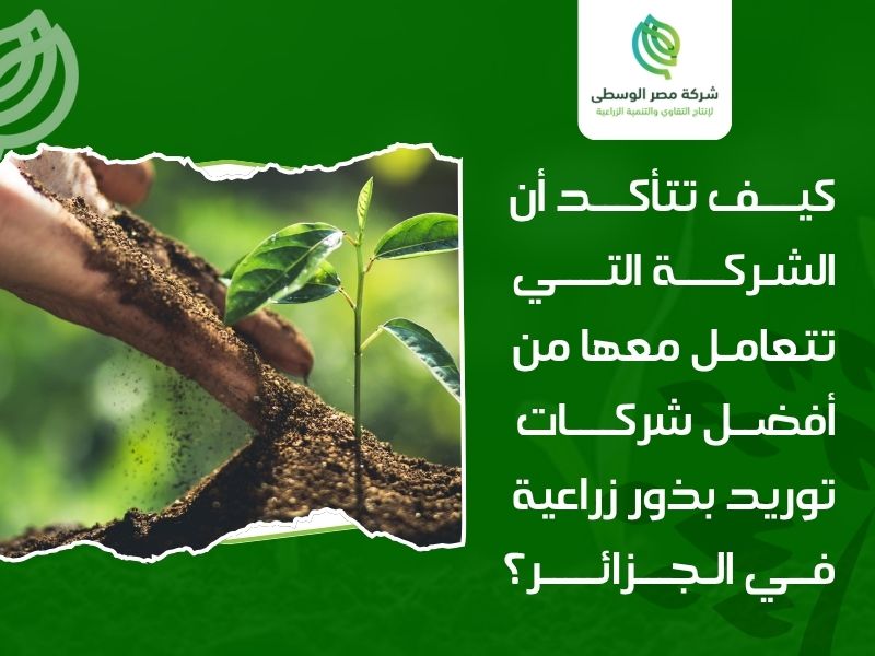 أفضل شركات توريد بذور زراعية في الجزائر