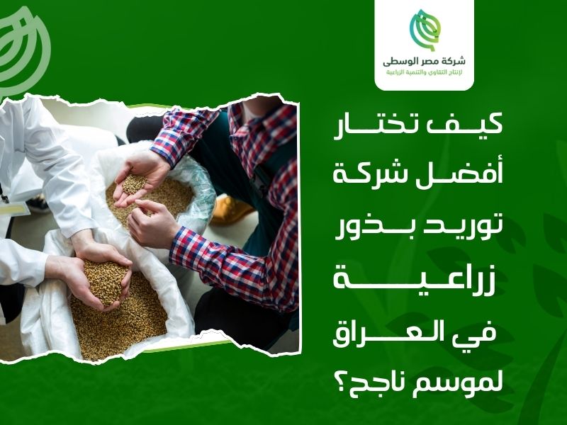 أفضل شركة توريد بذور زراعية في العراق
