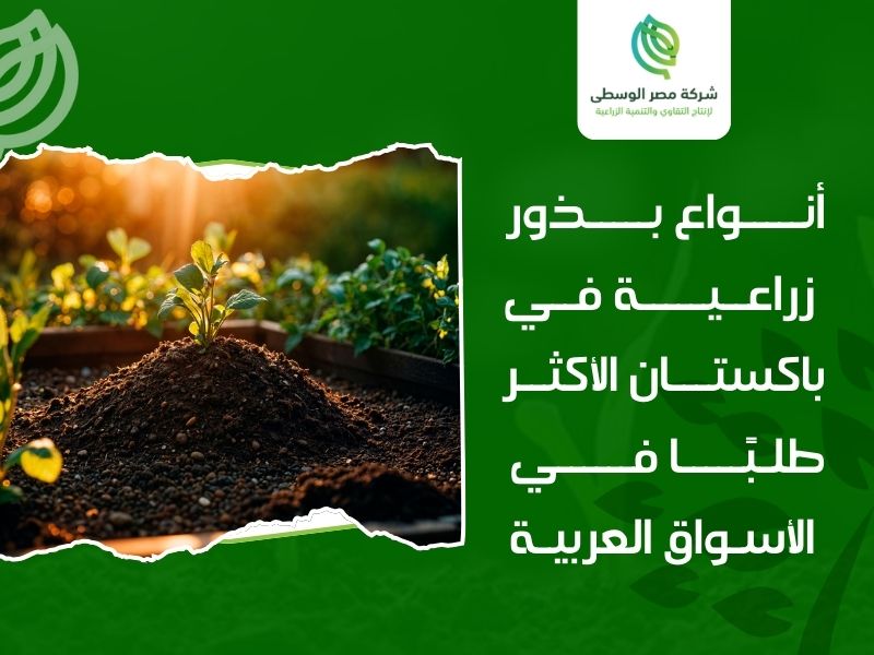 بذور زراعية باكستان