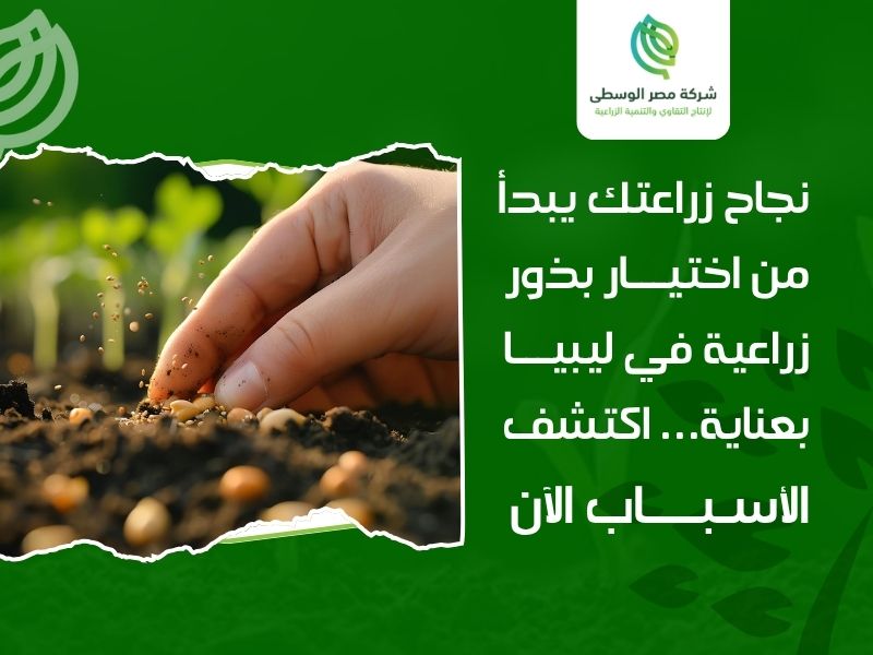 بذور زراعية في ليبيا
