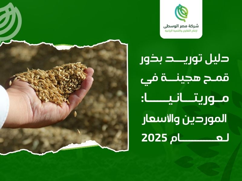 توريد بذور قمح هجينة في موريتانيا