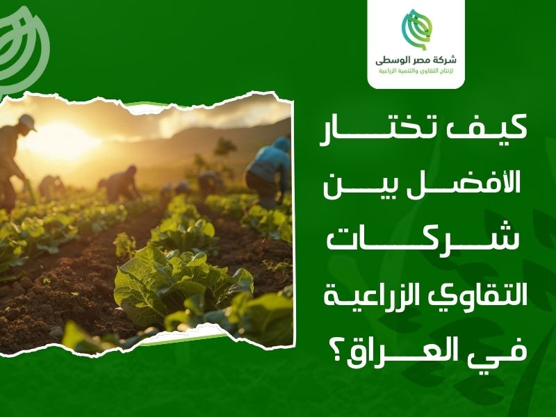 شركات التقاوي الزراعية في العراق