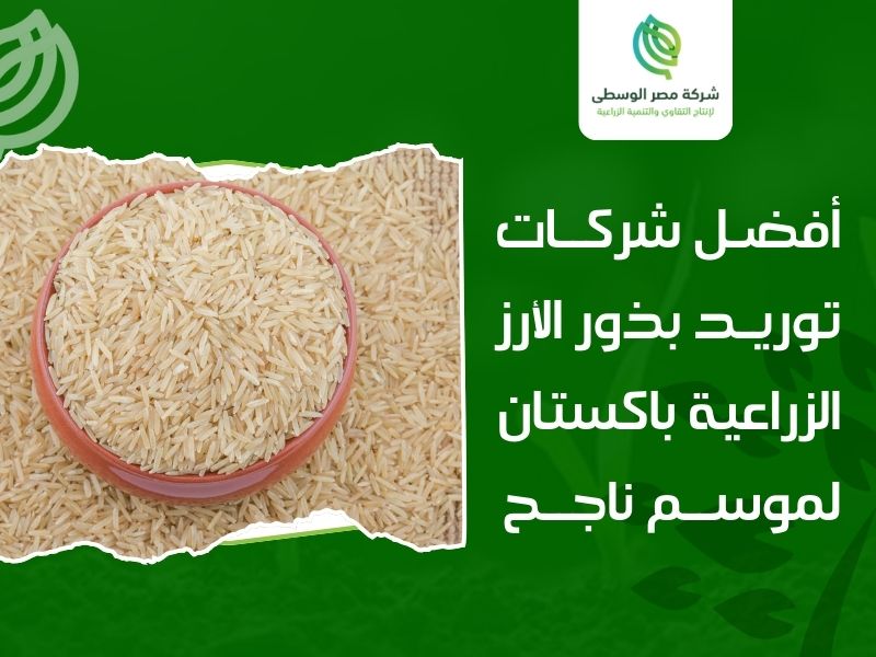 شركات توريد بذور الأرز الزراعية باكستان