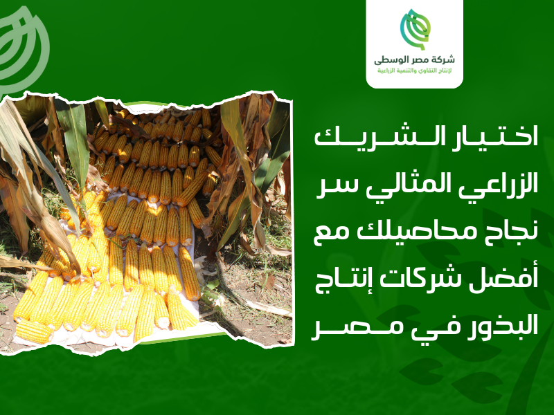شركات إنتاج البذور