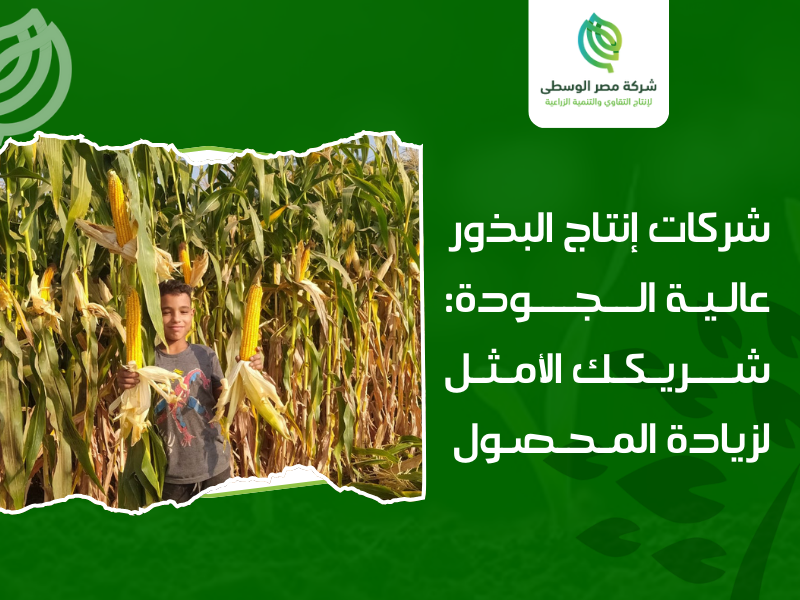 شركات إنتاج البذور