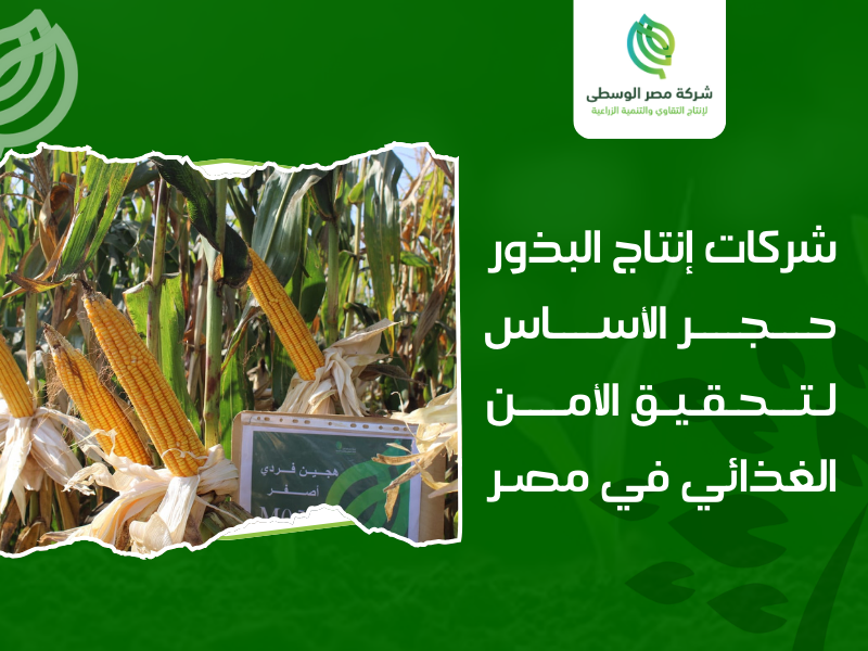 شركات إنتاج البذور