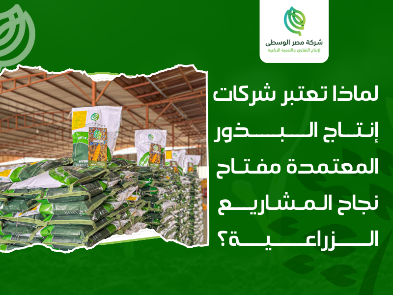 شركات إنتاج البذور