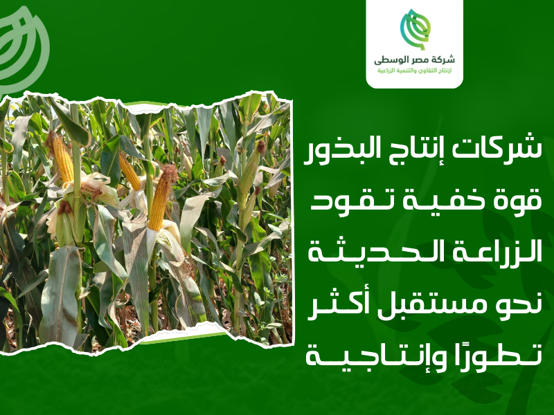 شركات إنتاج البذور