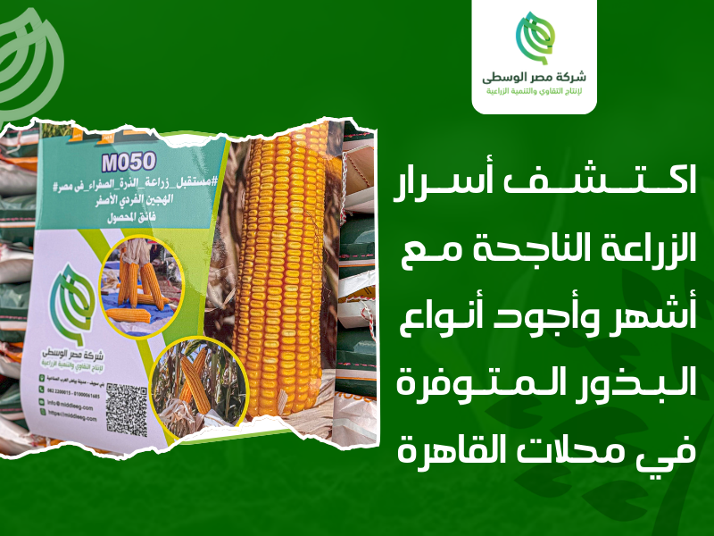 محلات بيع البذور في القاهرة