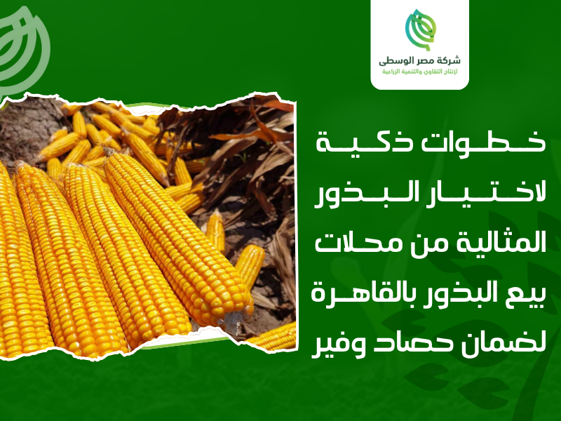 محلات بيع البذور في القاهرة