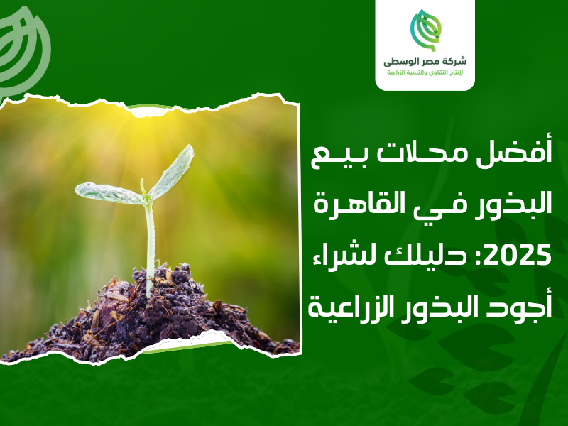محلات بيع البذور في القاهرة
