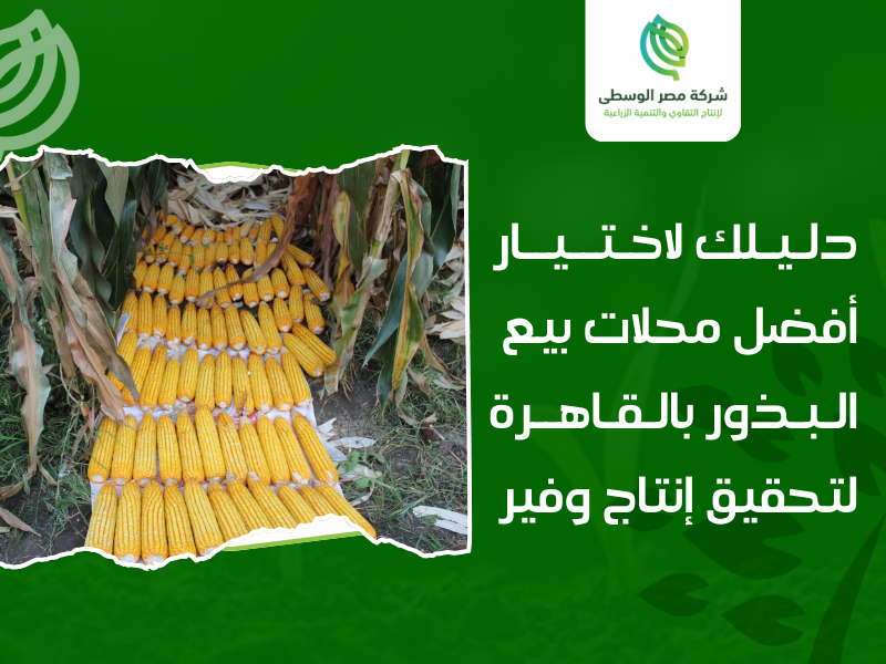 محلات بيع البذور في القاهرة
