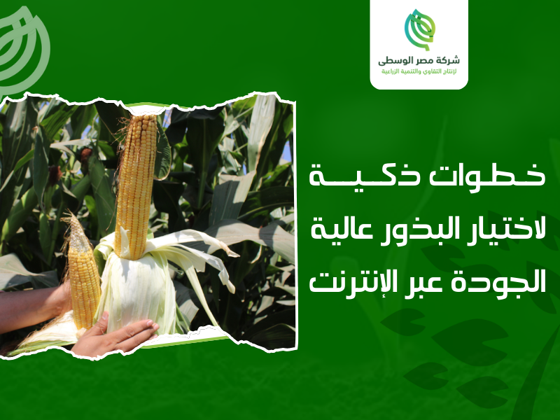 شراء بذور أون لاين مصر