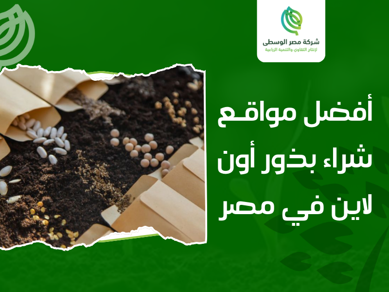 شراء بذور أون لاين مصر
