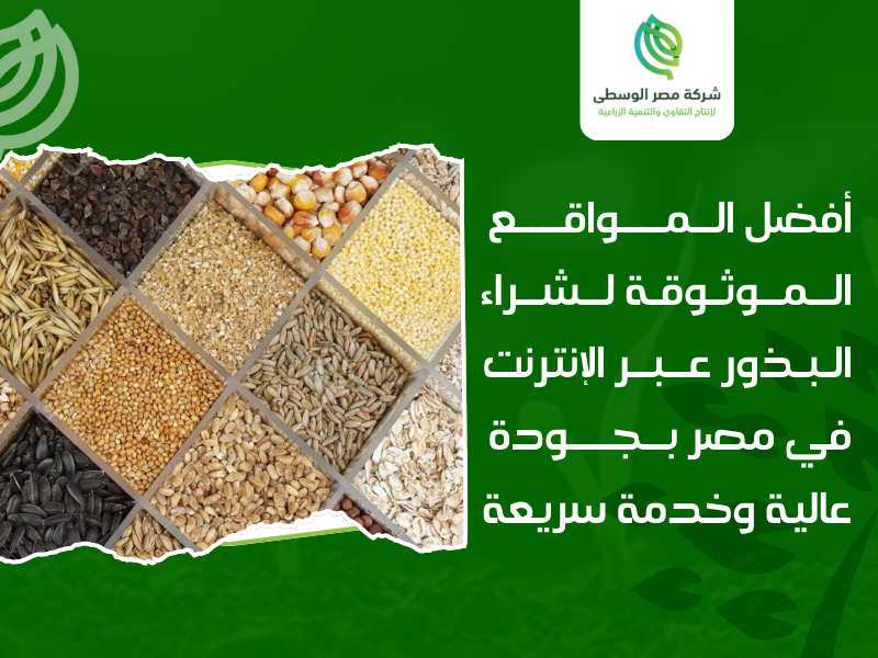 شراء بذور أون لاين مصر
