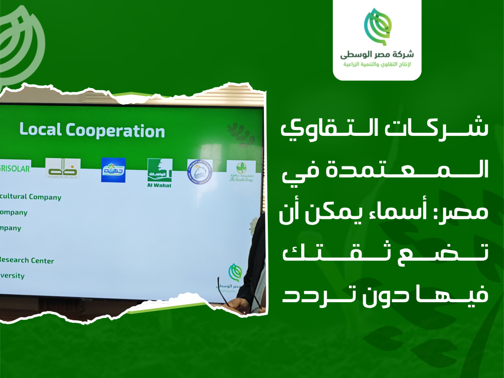 شركات التقاوي المعتمدة