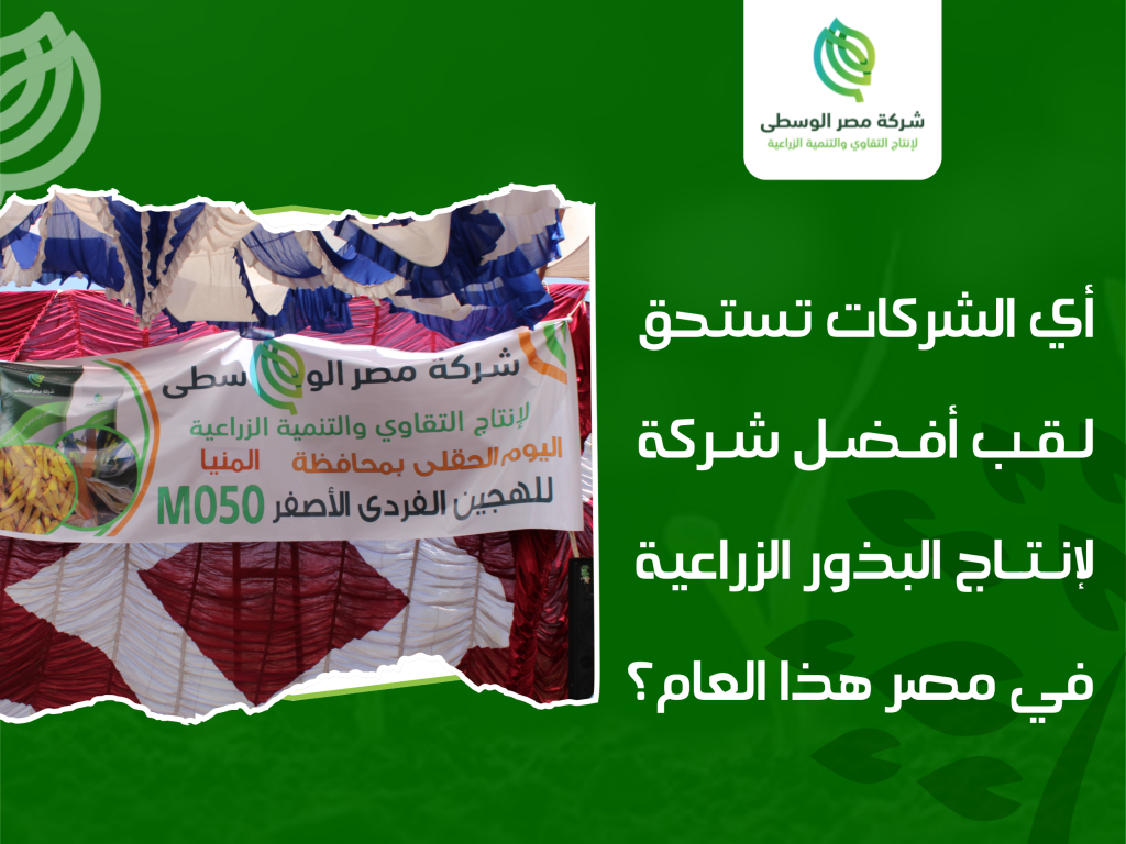 أفضل شركات إنتاج البذور الزراعية في مصر