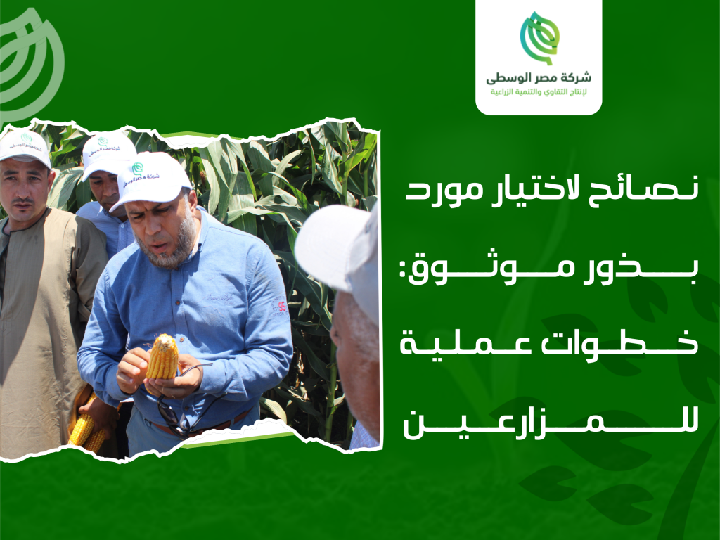 شركات بذور
