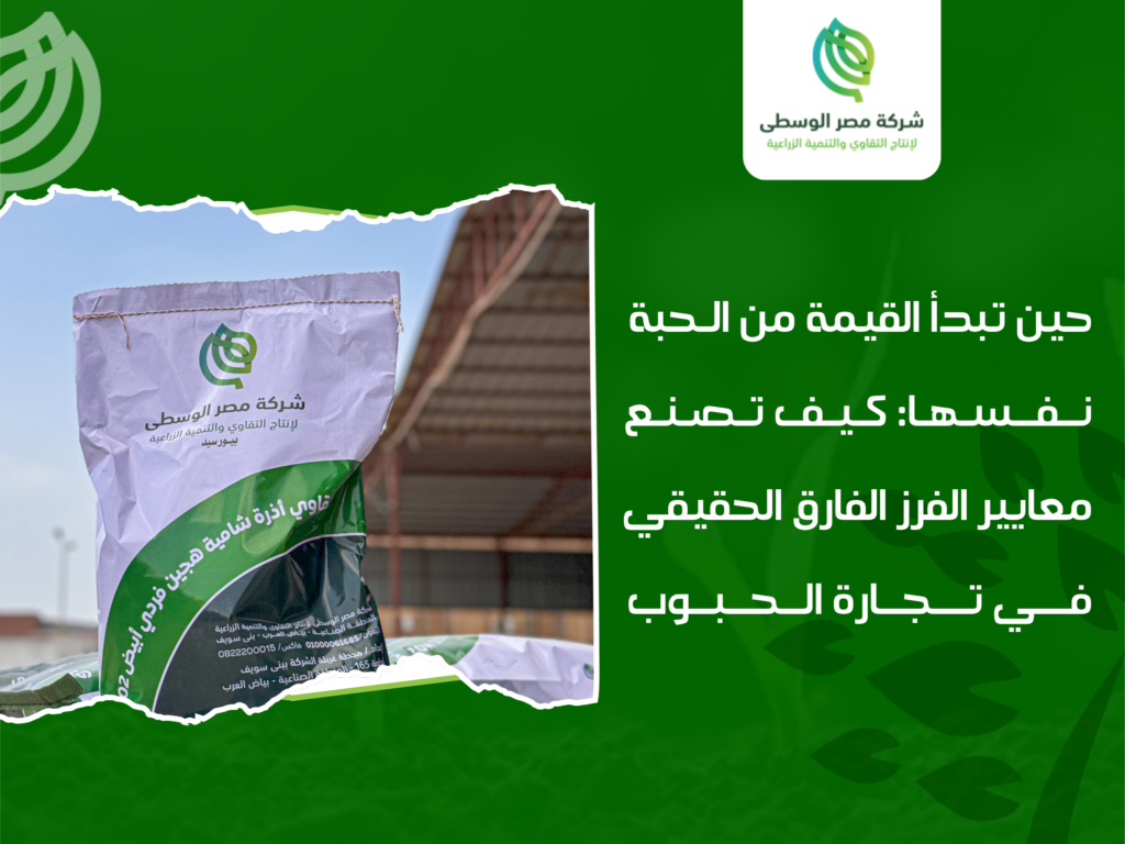 شركات تجارة الحبوب في مصر