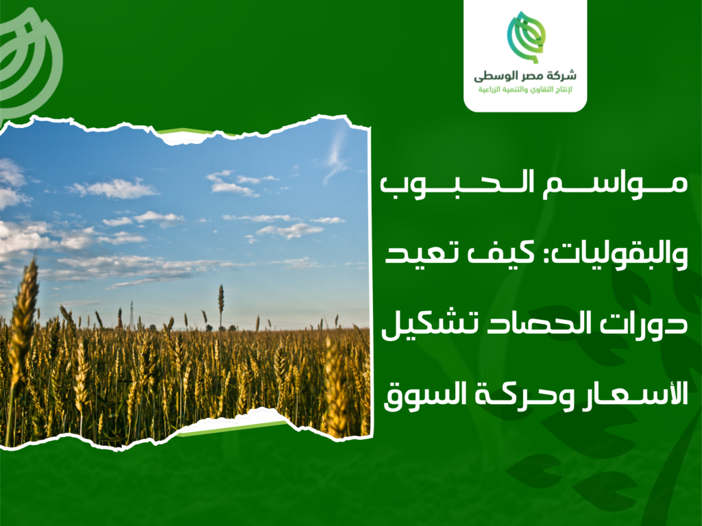 شركة تجارة حبوب وبقوليات في مصر