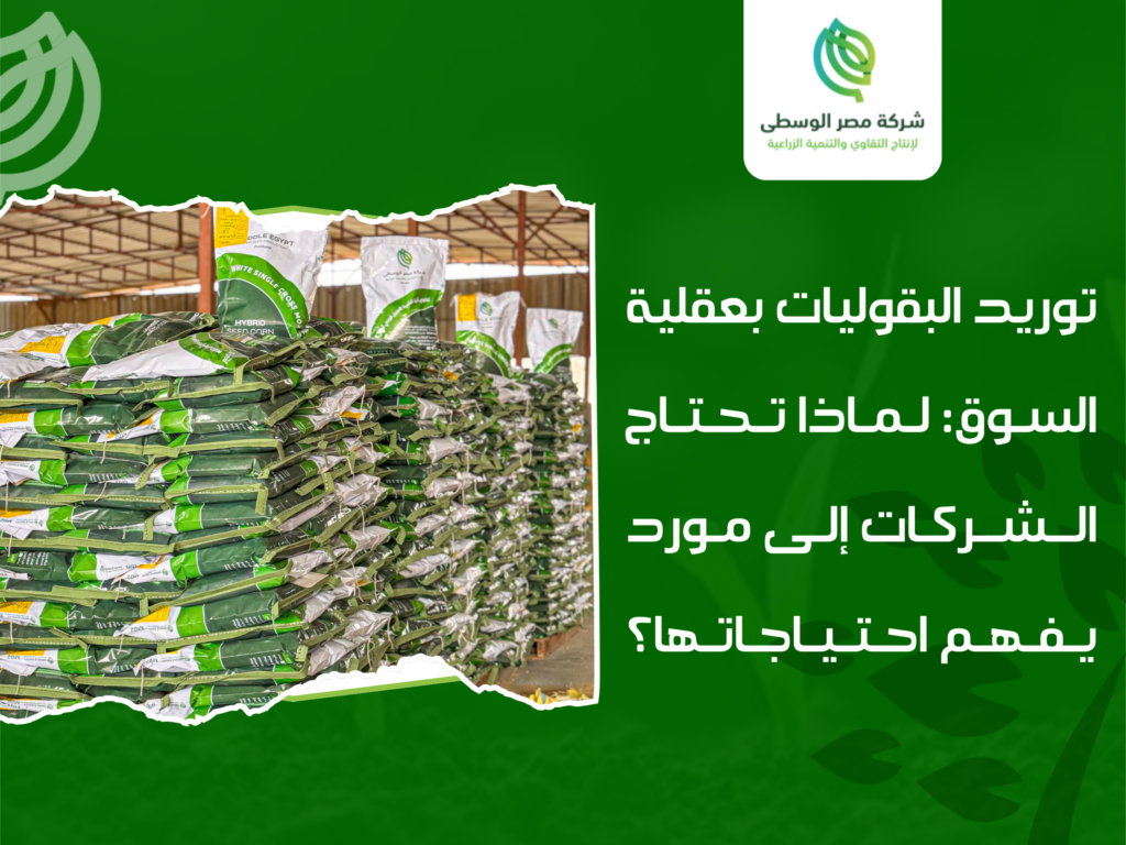 شركة توريد بقوليات في مصر