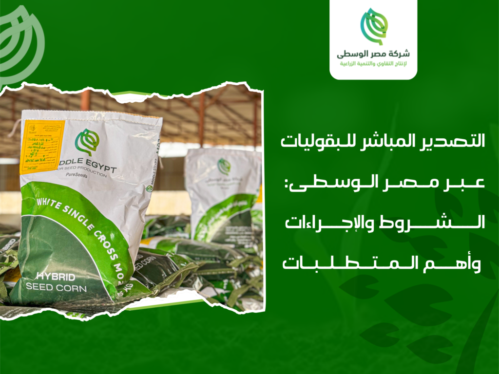 شركة تصدير بقوليات في مصر