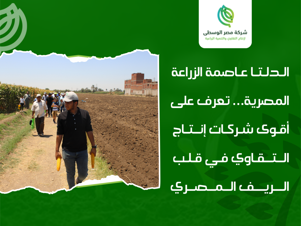 شركات تقاوي الدلتا