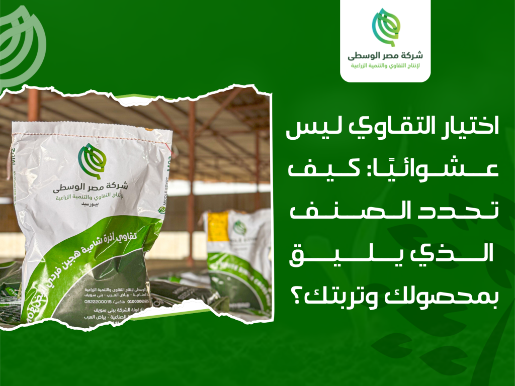 اختيار التقاوي