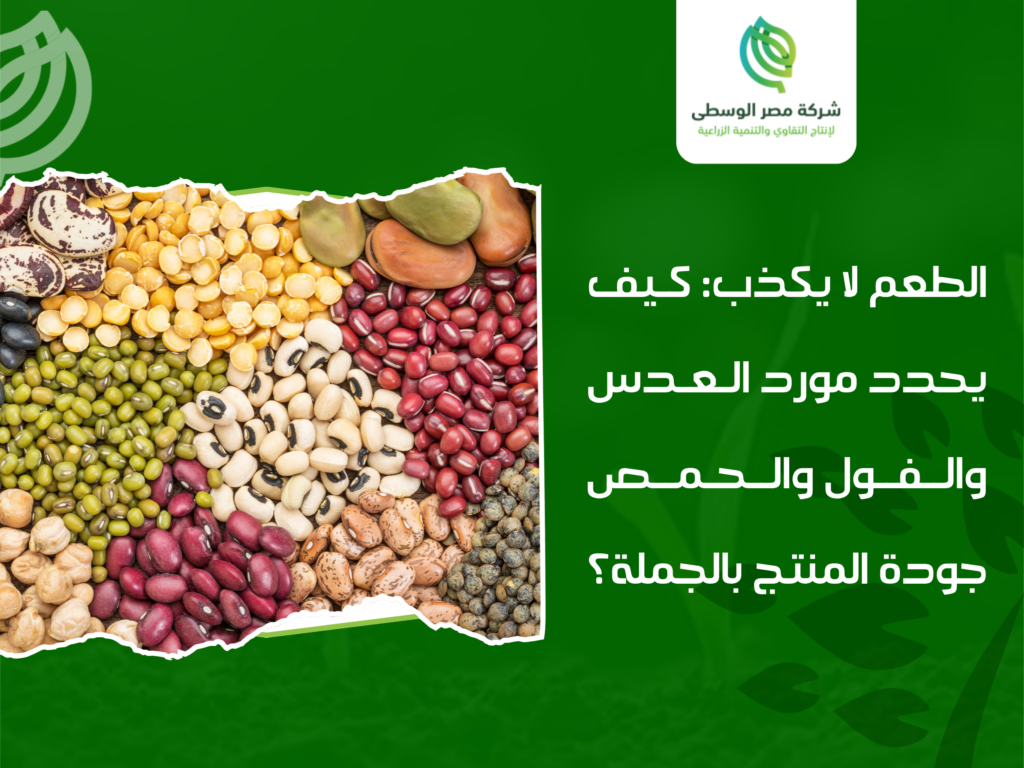 مورد عدس وفول وحمص بالجملة