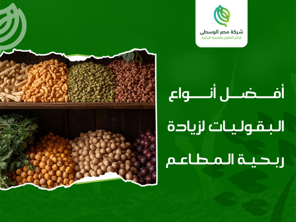 بيع فول وعدس جملة في مصر