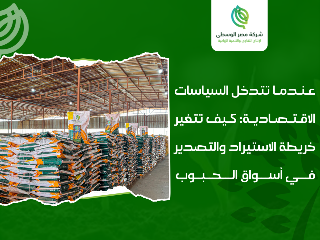 شركات استيراد وتصدير الحبوب في مصر