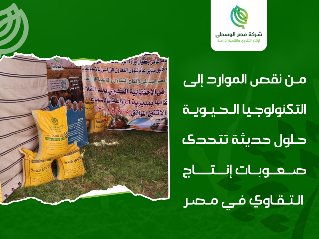 تحديات إنتاج التقاوي