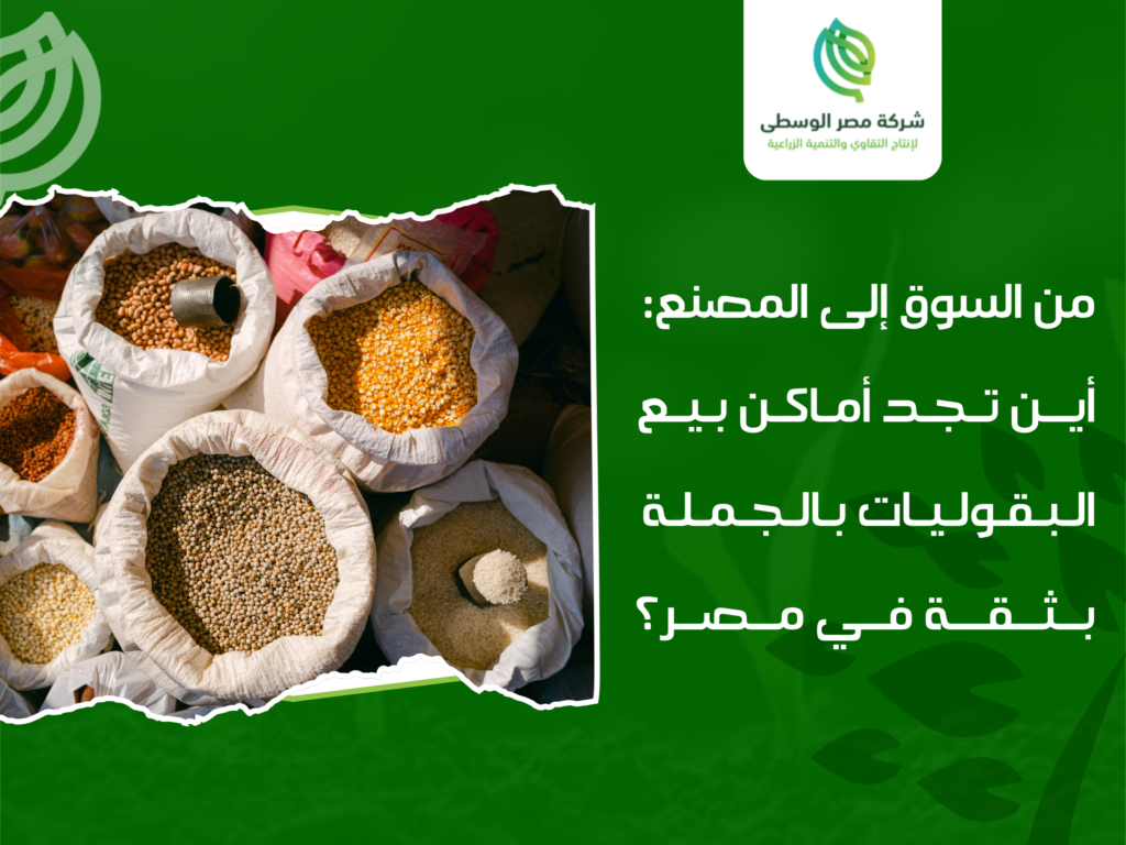 أماكن بيع البقوليات بالجملة في مصر