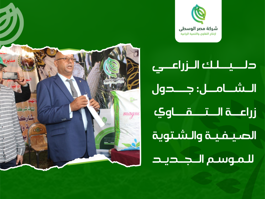 تقاوي صيفية