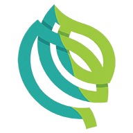 شركات إنتاج الهجين والبذور في مصر