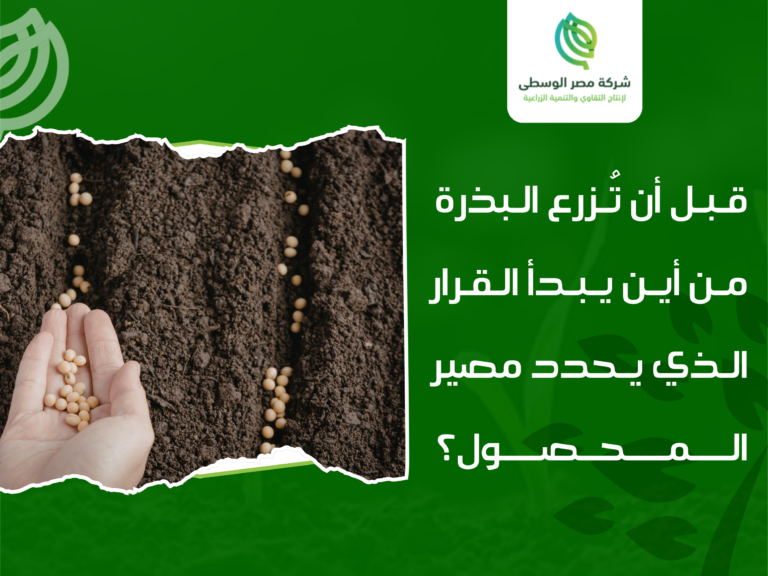 محلات بيع البذور في القاهرة