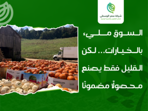 أماكن بيع البذور في مصر