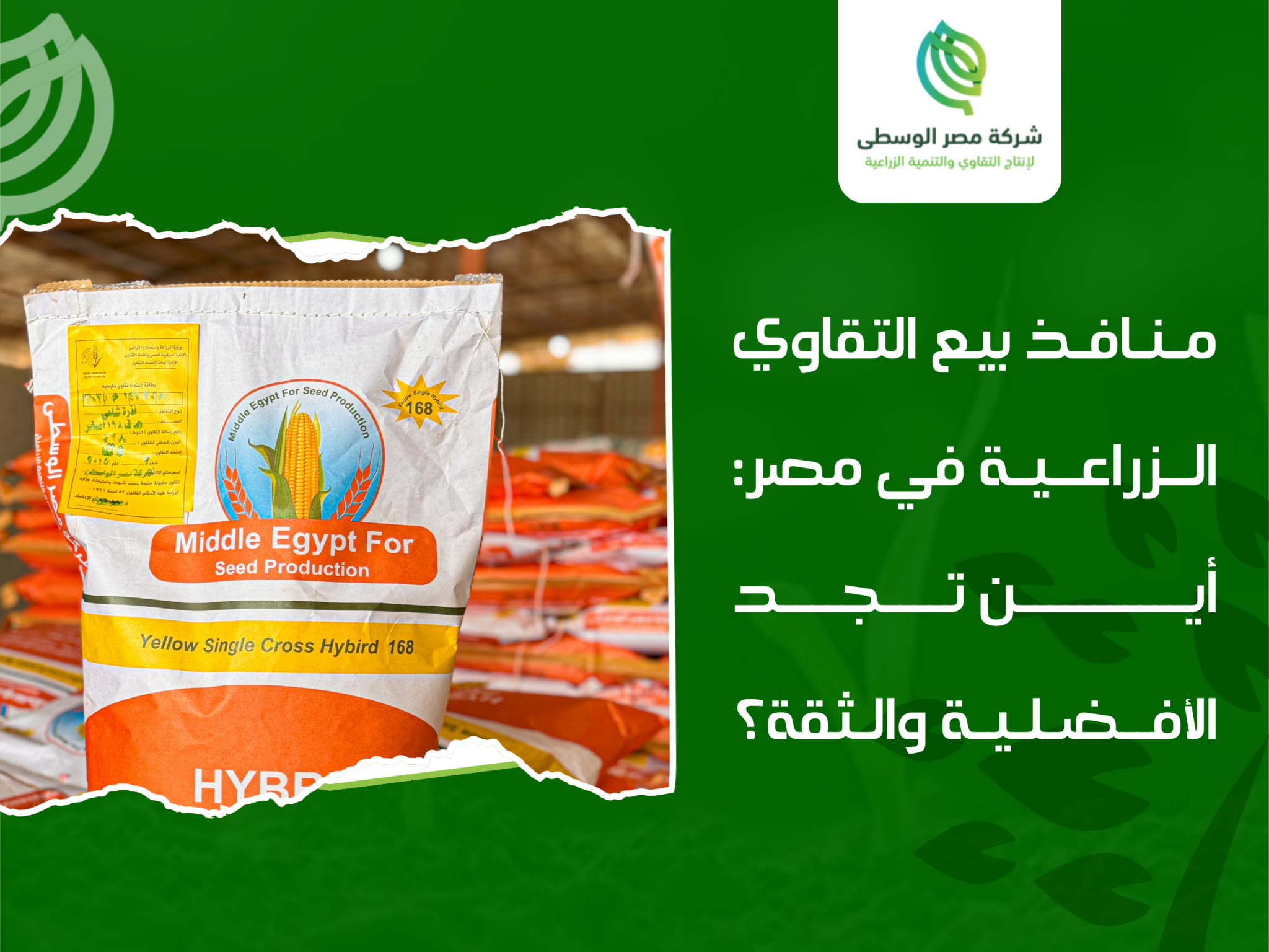 منافذ بيع التقاوي الزراعية في مصر