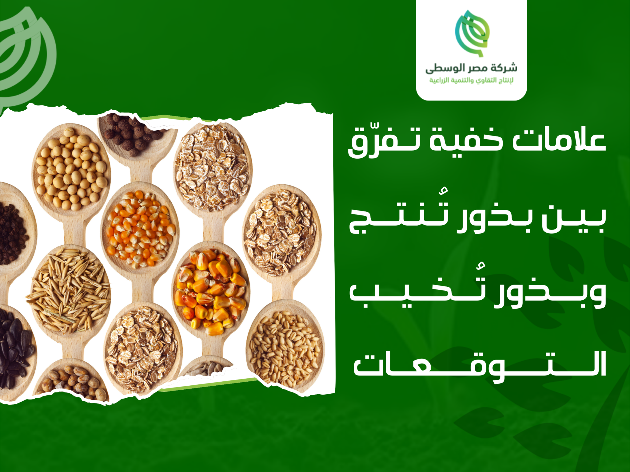 أماكن بيع التقاوى المعتمدة في مصر